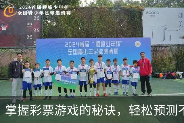 掌握彩票游戏的秘诀，轻松预测不再是梦！
