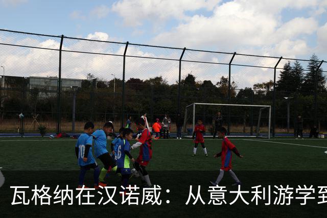 瓦格纳在汉诺威：从意大利游学到德乙首秀的足球冒险